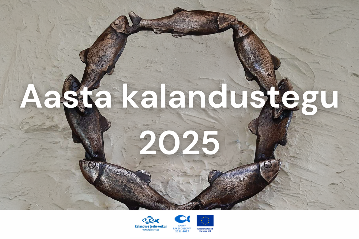 Aasta kalandustegu 2025